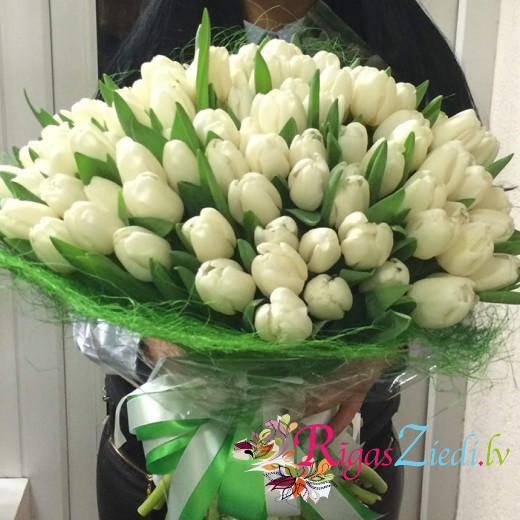 101 white tulips