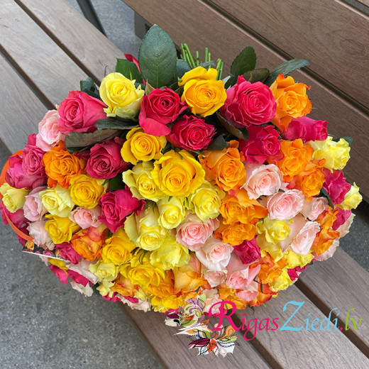 101 different colour roses