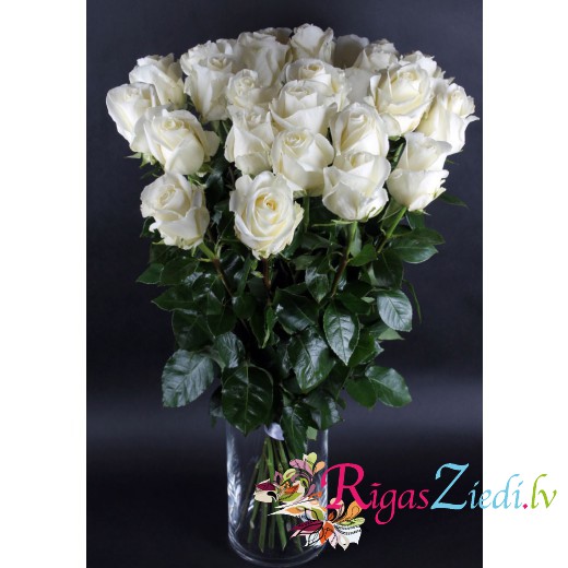 Balts rožu pušķis Premium klase 70 cm