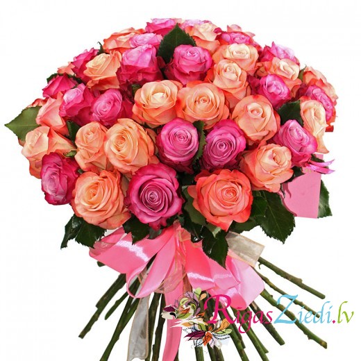 51 salmon-colored and purple roses
