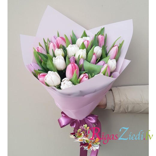 white and pink tulips