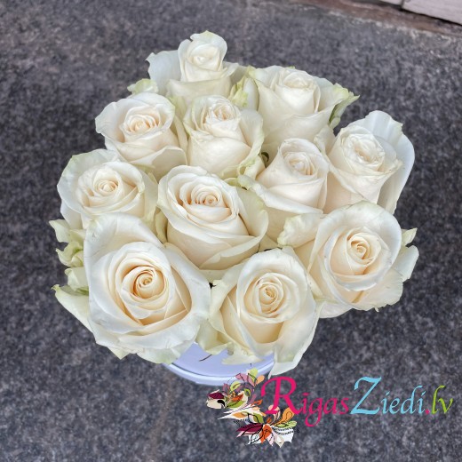 White roses in a round box