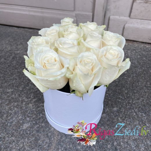 White roses in a round box