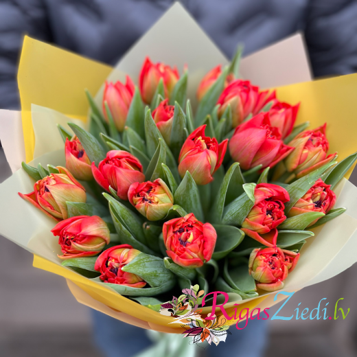 Red tulips in a decorative package