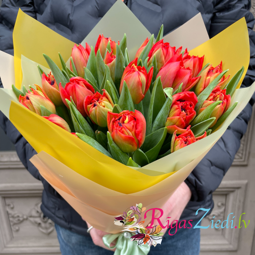 Red tulips in a decorative package