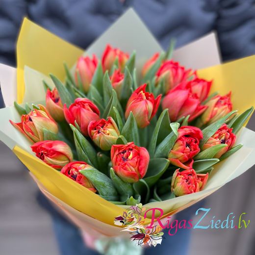 Red tulips in a decorative package