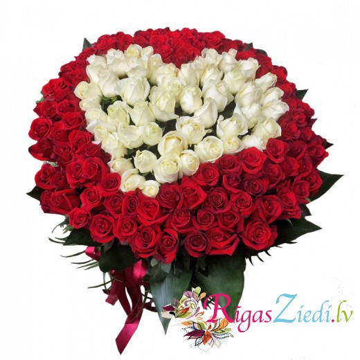 heart of 151 red and white roses