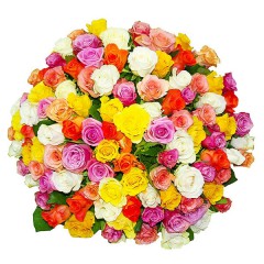 101 разноцветная роза 40-80cm