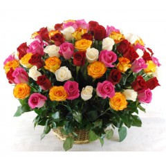 101 different colors of the rose basket