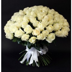 101 white 70 cm rose