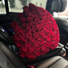 101 sarkana roze