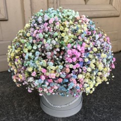 Flower box "Cotton candy"