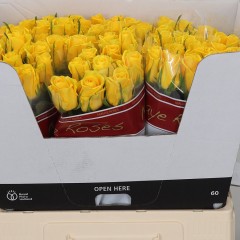 Yellow roses in the manufacturer's packaging, in a package of 10 pcs.