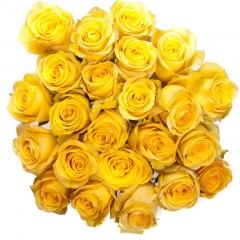 Dzeltenu rožu pušķis 
