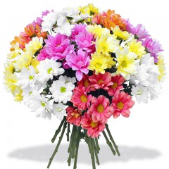 Chrysanthemum bouquet Colorful