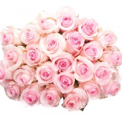 Pink rose bouquet (variable number of flowers and length)