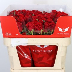Red roses in the manufacturer's package 10 pcs.