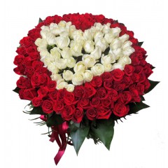 heart of 151 red and white roses